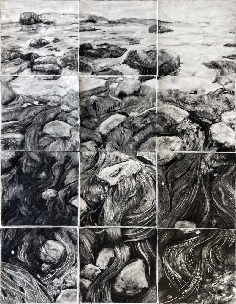 Island Rockweed, Polyptych Monotype, 40" X 30" Each Panel 10" X 10" On Kozo Mulberry Paper.